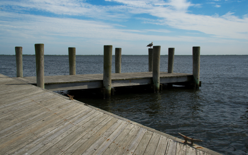 Receiving dock construction services after finishing lakefront clearing projects in Lakeland FL